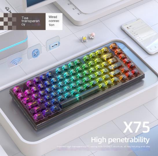 Bàn phím cơ không dây Xinmeng X75 Bluetooth miếng đệm trong suốt tùy chỉnh có dây RGB phích cắm nóng Kaihua jellyfish