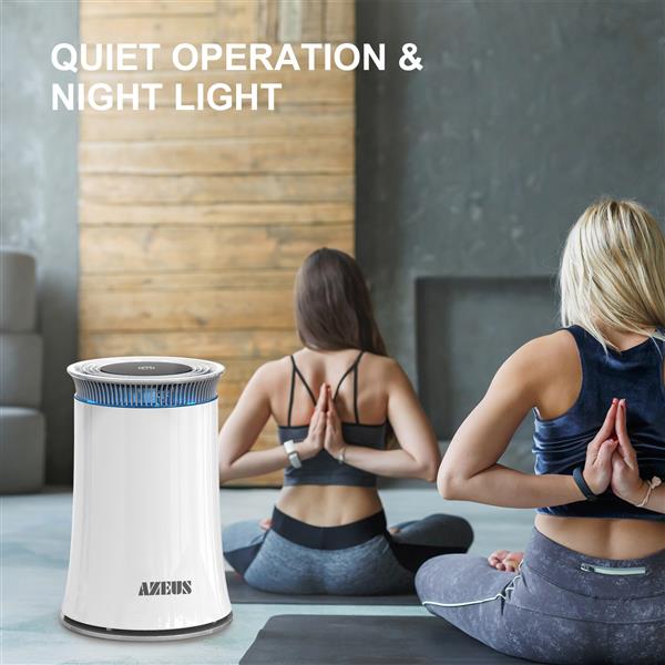 High CADR Air Purifier Ozone-Free