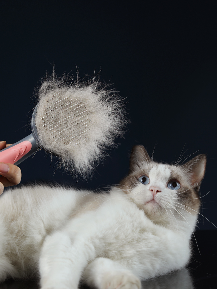 宠物美容猫梳狗梳猫毛刷